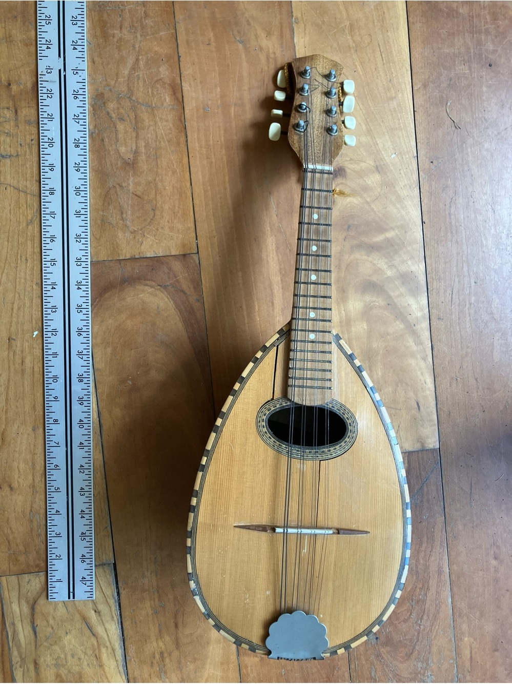Mandolin